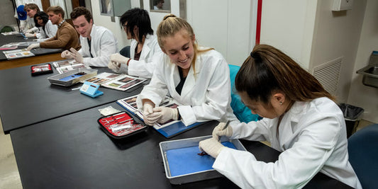 How To Get A Return Offer From Internship