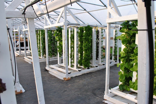 Vertical Farming Advantages and Disadvantages