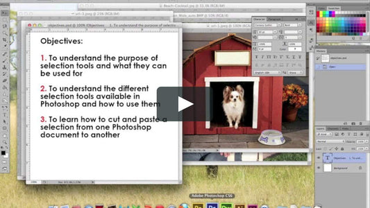 9 Benefits of Learning Photoshop